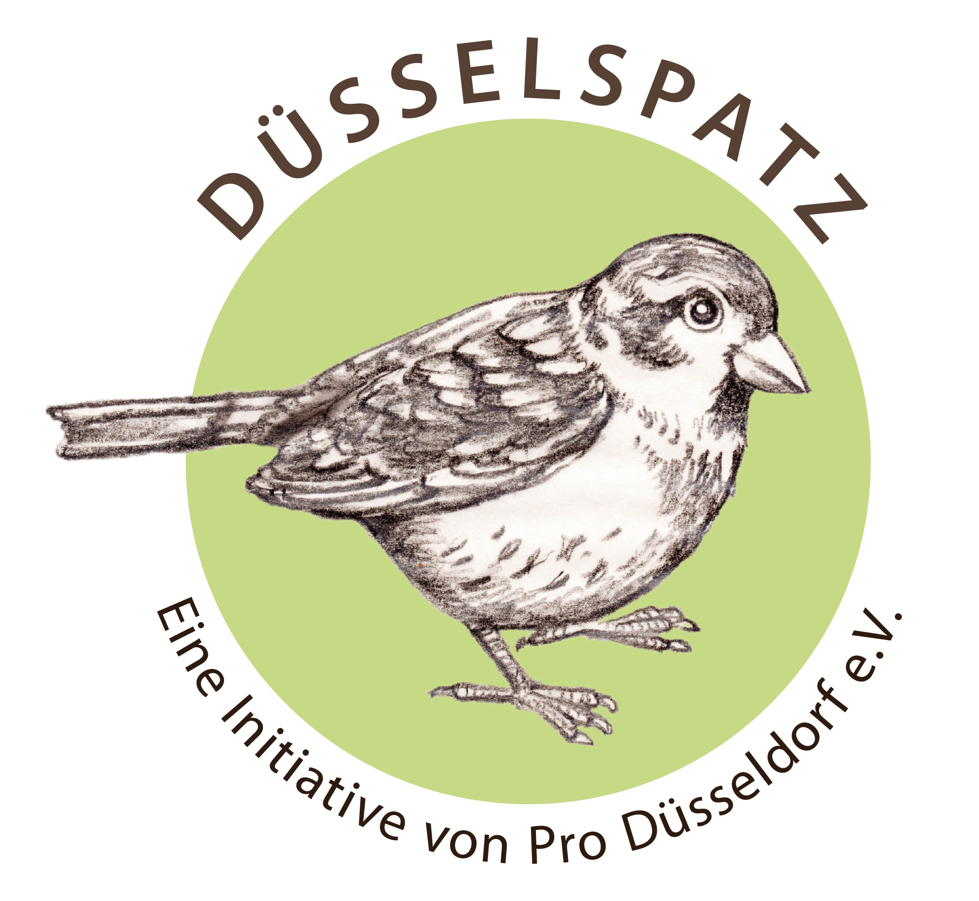 Spatzen-Projekt in D&uuml;sseldorf