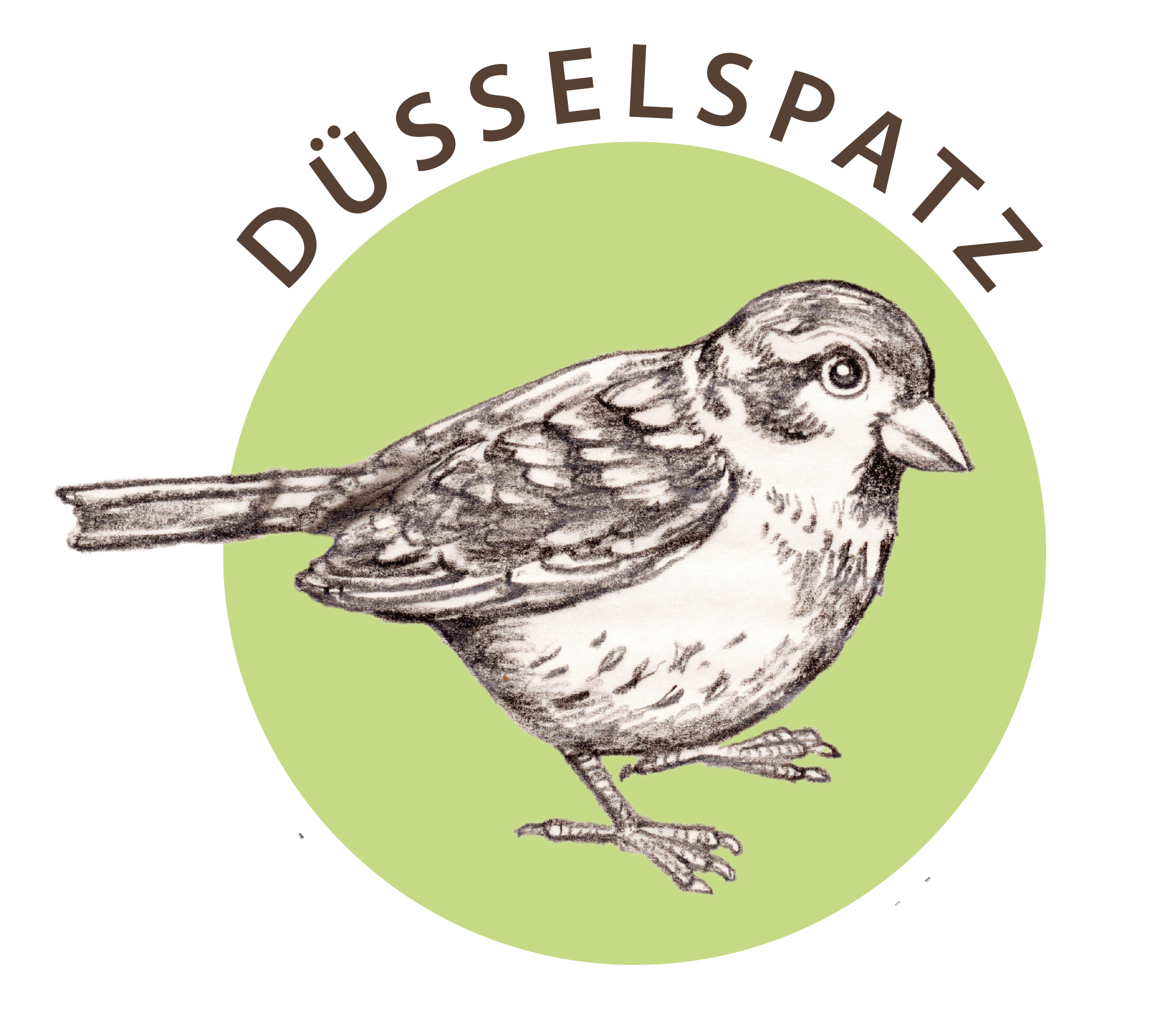 Spatzen-Projekt in Düsseldorf
