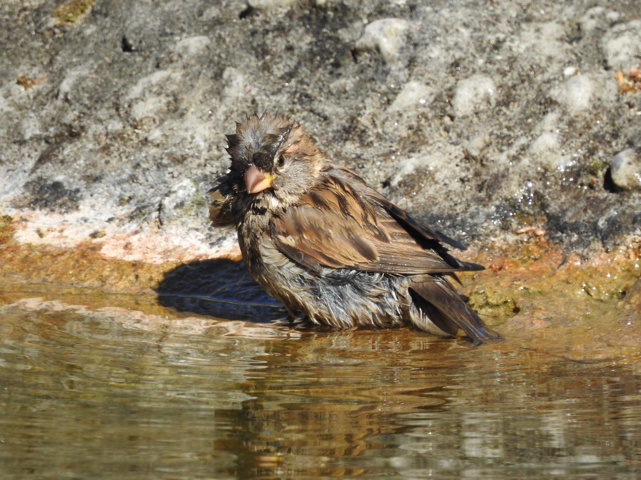 Heute ist Badetag.