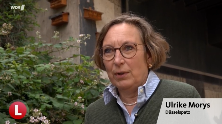 Düsselspatz WDR Lokalzeit berichtet